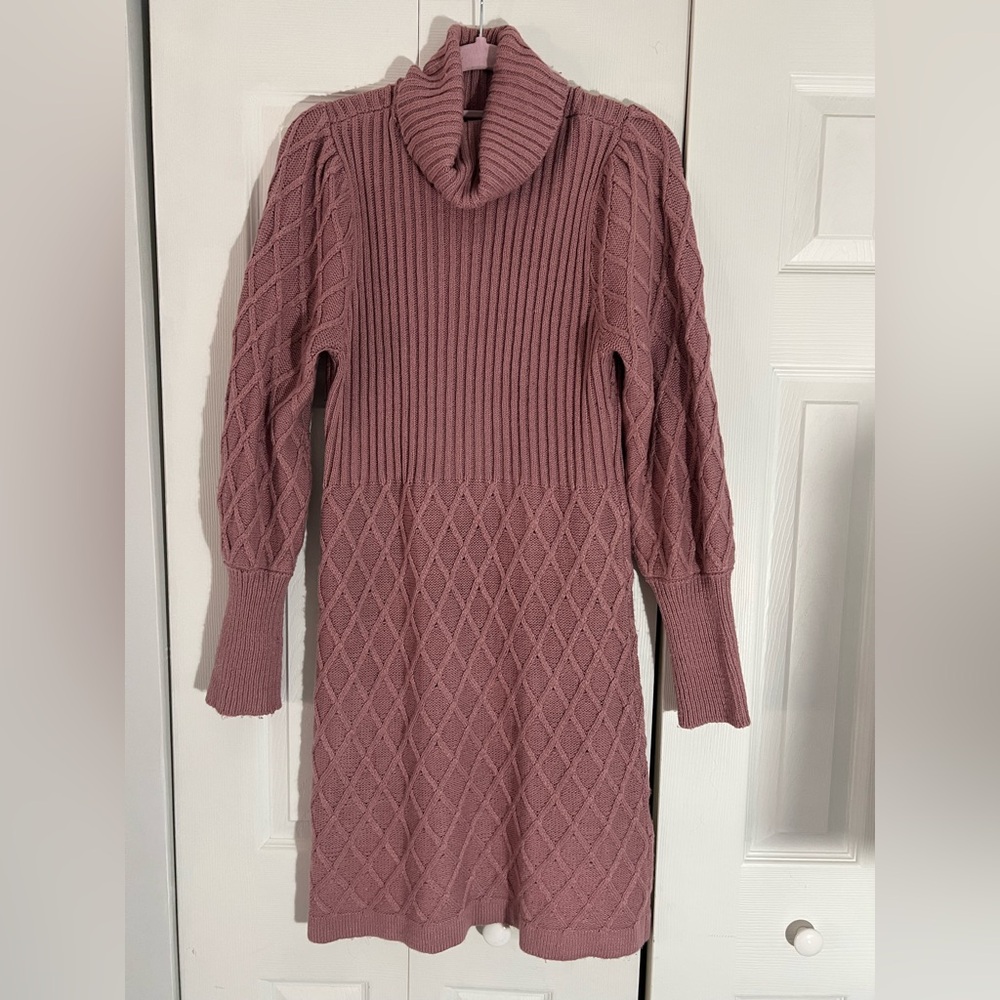 Adrienne Vittadini Mauve Turtleneck Sweater Dress